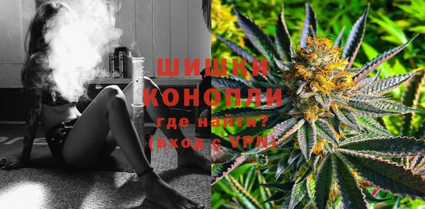 крисы Лабытнанги