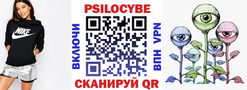 Псилоцибиновые грибы Psilocybine cubensis  Купить закладки  Белый 